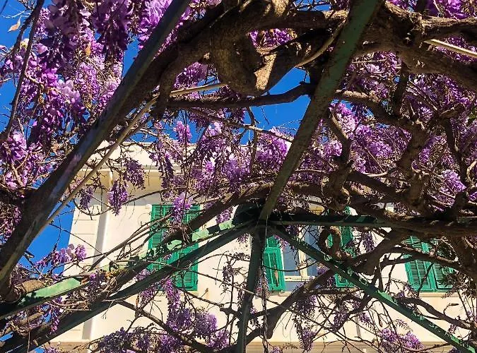 La Brise Szálloda 3*